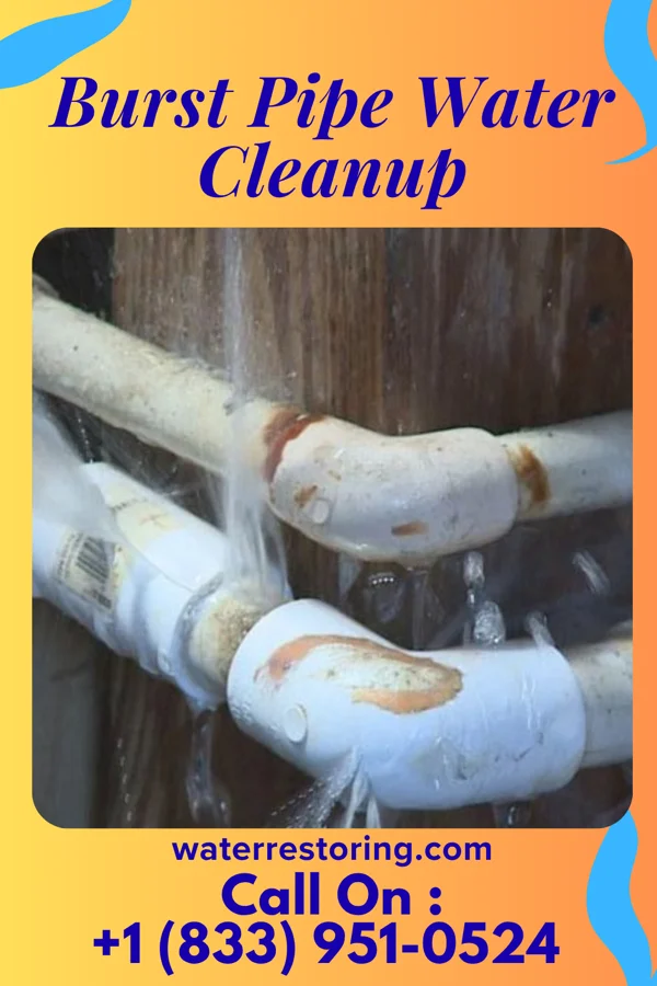 Burst Pipe Water Cleanup in Plainfield, IA