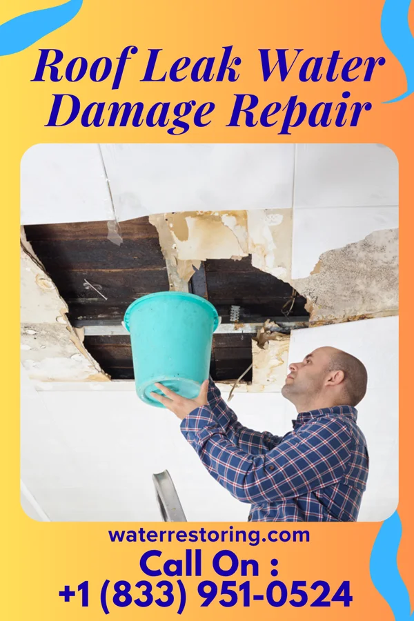 Roof Leak Water Damage Repair in Plainfield, IA