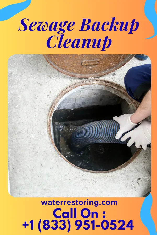 Sewage Backup Cleanup in Plainfield, IA